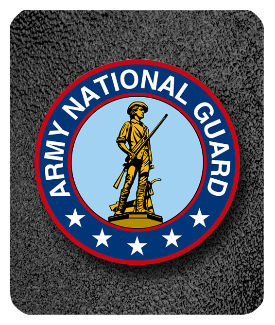 F35 Black Shimmer National Guuard PROOF